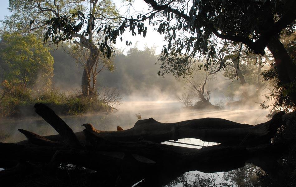 Coorg Anekad Jungle Stay Kushālnagar Екстериор снимка